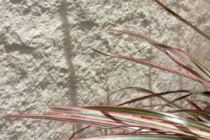 flexible stone interior wall cladding flexible stone interior wall cladding
